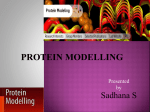 protein modelling