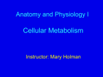 Cellular Metabolism Ppt