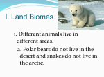 Land Biomes