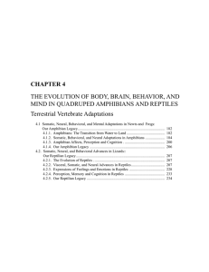 chapter 4 the evolution of body, brain, behavior, and mind in