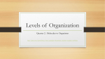 Levels of Organization - Bremen High School District 228