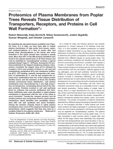 Proteomics of Plasma Membranes from Poplar Trees Reveals