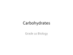 Carbohydrates - WordPress.com