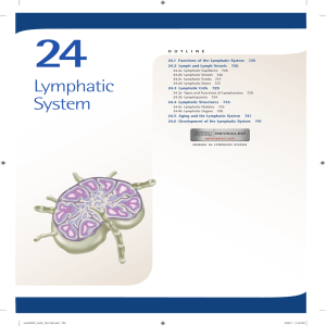24. Lymphatic System