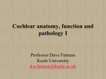 Cochlear anatomy, function and pathology I
