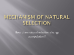 Mechanism of Natural Selection