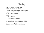 5 PCR - UNM Biology
