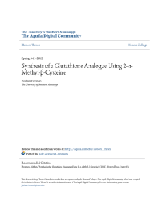 Synthesis of a Glutathione Analogue Using 2-α-Methyl-β