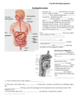 2015 PAP Body Systems Part 2 Notes