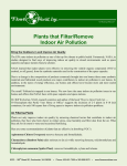 Plants that Filter/Remove Indoor Air Pollution
