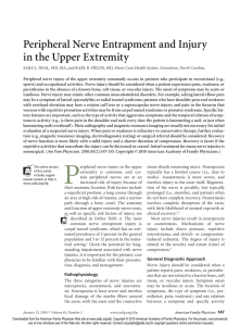 Peripheral Nerve Entrapment And Injury In The Upper Extremity
