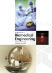 The Department of Biomedical Engineering