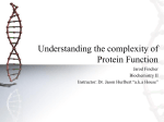 Understanding the complexity of Protein Function