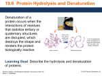 6 Protein Hydrolysis GOB Structures