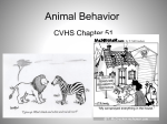 Animal Behavior