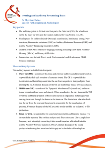 Hearing and Auditory Processing Basics