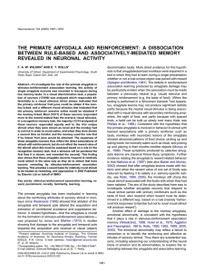 the primate amygdala and reinforcement: a