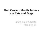 Oral Cancer (Mouth Tumors) in Cats and Dogs