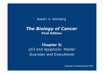 The Biology of Cancer The Biology of Cancer