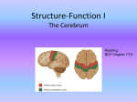 Structure-Function I