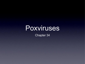 Chapter 34 Poxviruses