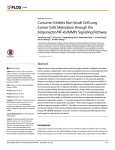 Curcumin Inhibits Non-Small Cell Lung Cancer Cells Metastasis