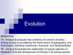 Evolution - Pearland ISD