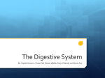 The Digestive System