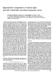 Quantitative comparison of canine right and left ventricular