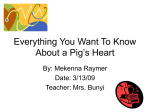sample PowerPoint presentation on the heart