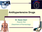 Antihypertensive Drugs