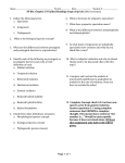 Ch. 24 Guided reading / Stem notes