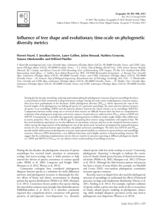Influence of tree shape and evolutionary time‐scale on phylogenetic