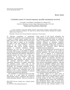 Cerebellar control of visceral responses–possible mechanisms