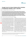 Synaptic basis for intense thalamocortical activation of feedforward