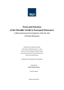 Form and function of the shoulder girdle in sauropod dinosaurs : a