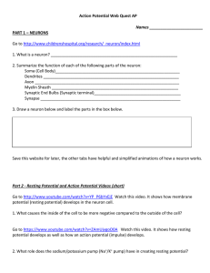 Action Potential Webquest