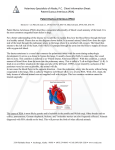 Patent Ductus Arteriosus (PDA - Veterinary Specialists Of Alaska