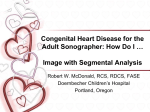 Congenital Heart Disease for the Adult Sonographer