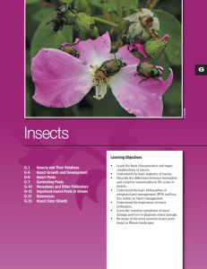 Insects - University of Illinois Extension
