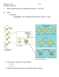 Transcription Factors