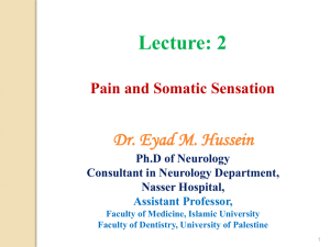 Pain and somatic sensation - Lightweight OCW University of