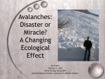 The Changing Ecological Effect of Avalanches Due to Climate Change