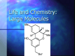 Macromolecules - Lisle CUSD 202