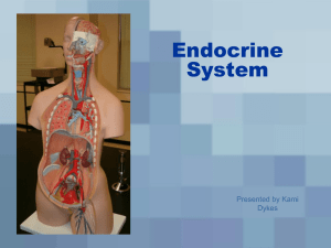 Endocrine System