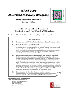 NABT 2006 Microbial Discovery Workshop