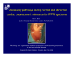 Accessory pathways during normal and abnormal cardiac