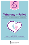 Tetralogy of Fallot - University of Maryland Medical Center