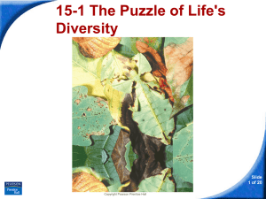 15-1 The Puzzle of Life`s Diversity Evolution