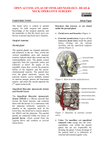 OPEN ACCESS ATLAS OF OTOLARYNGOLOGY - Vula